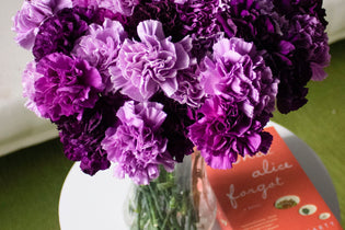 Purple carnation bouquet