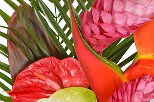 Tropical Bouquet