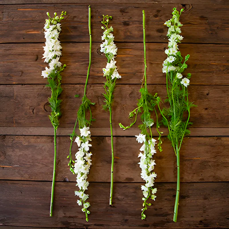 DIY from Scratch - FiftyFlowers