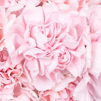 red bridal bouquet of carnations