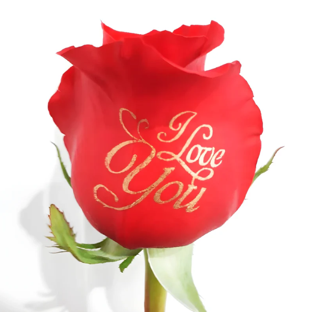 Buy Wholesale Personalized Roses in Bulk - FiftyFlowers