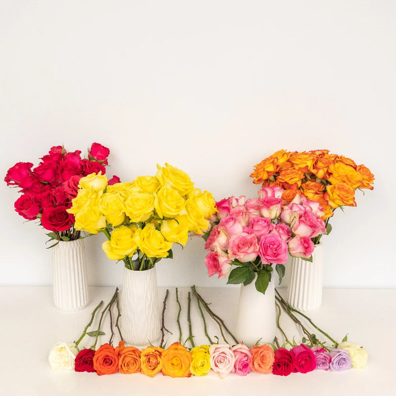 100 Roses For Mother's Day Close Up - Image