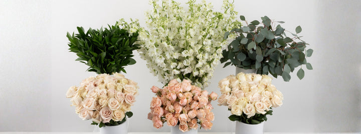 Sandy Sensations DIY Flower Kit
