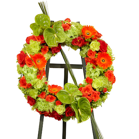 OASIS Mache Wreath, 24 Inch