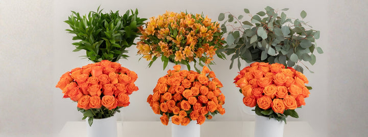 Orange Crush DIY Flower Kit