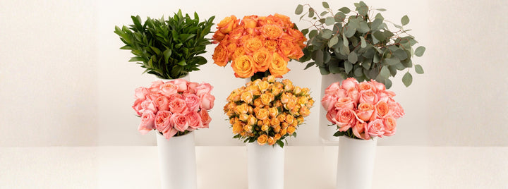 Coral Gardens DIY Flower Kit