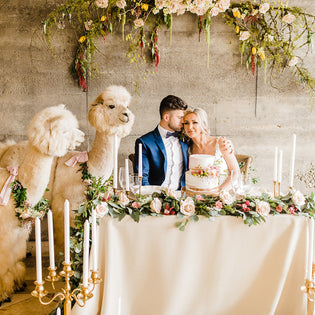 Summer Cream and Yellow Alpaca Styled Wedding