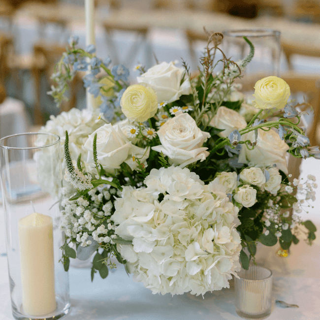 A Texas Classic in White