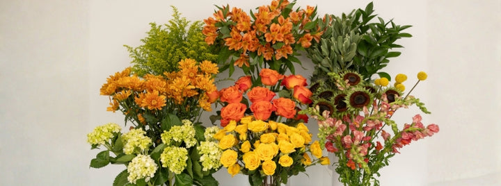 Modern Sunflower DIY Flower Kit
