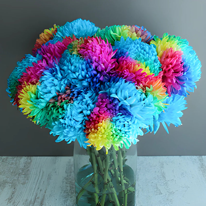 Rainbow Color Palette Tinted Football Mum Flowers