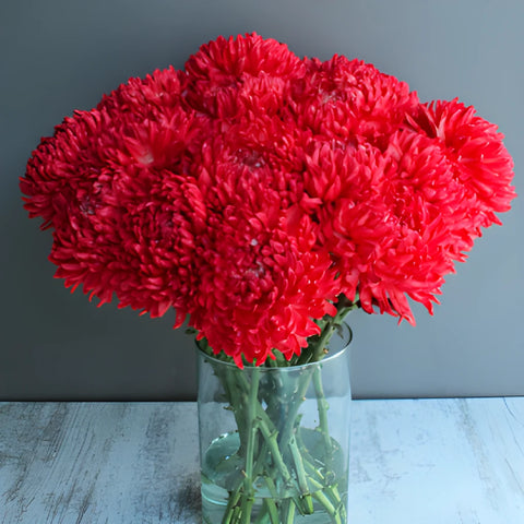 Fiery Red Tinted Football Mum Flowers