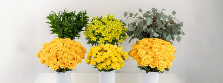 Hello Yellow DIY Flower Kit