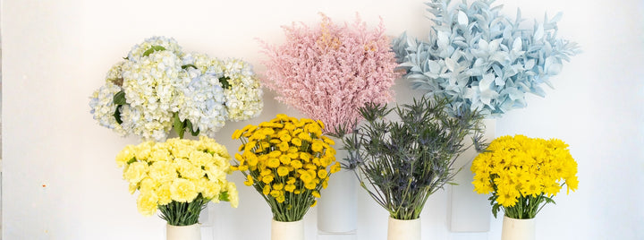 Yellow Pastel Pop DIY Flower Kit