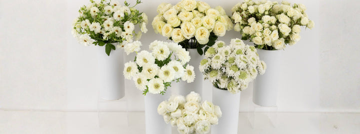 Cloud Dancer DIY Flower Kit