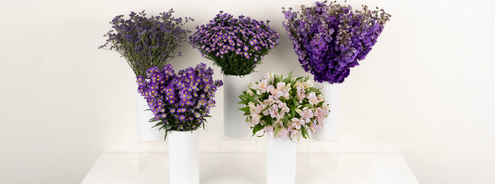 Purple Magic DIY Flower Kit