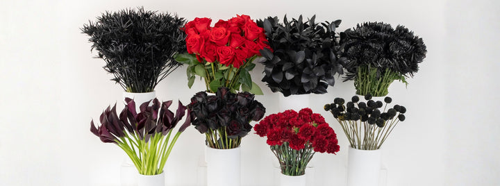 Gothic Vibes DIY Flower Kit