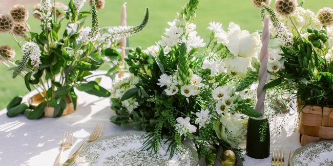 “I Love You a Great Dill” Shoot at Cenita Vineyards