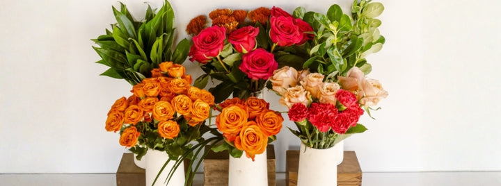 Bring on The Joy DIY Flower Kit