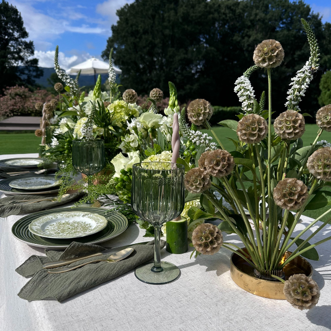 “I Love You a Great Dill” Shoot at Cenita Vineyards