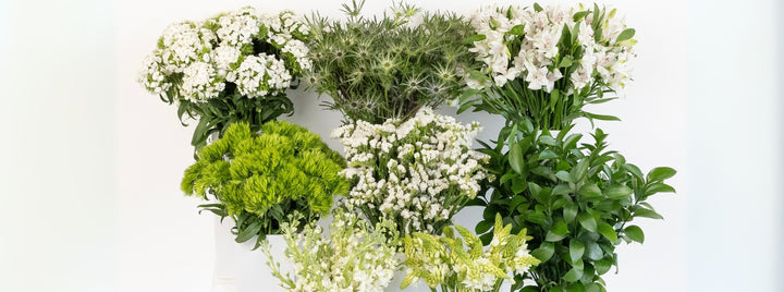 White Blooming DIY Flower Kit