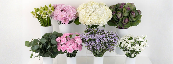 Kale Garden DIY Flower Kit