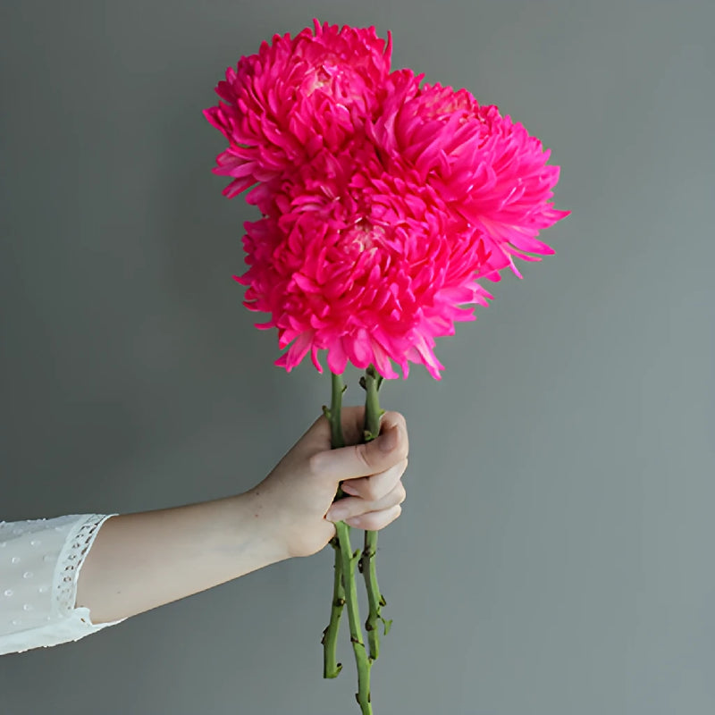 Neon Pink Tinted Football Mum Flowers