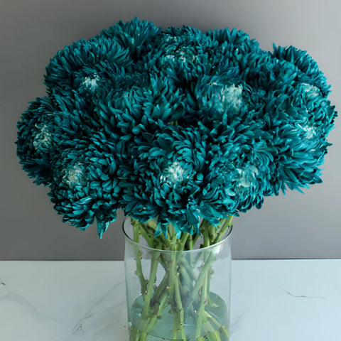 Nautical Turquoise Tinted Football Mum Flowers