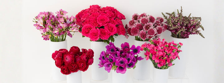 Berrylicious DIY Flower Kit