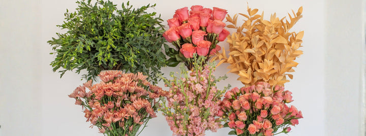 Wild Peach DIY Flower Kit