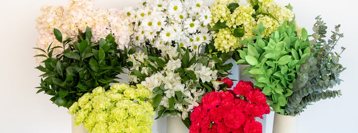 Lucky In Love DIY Flower Kit