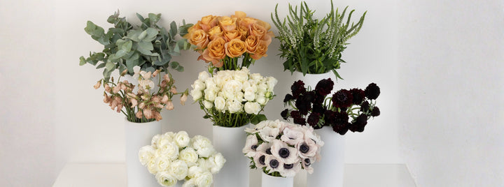 Maple And Merlot DIY Flower Kit