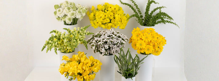 Yellow And White Sunshine DIY Flower Kit