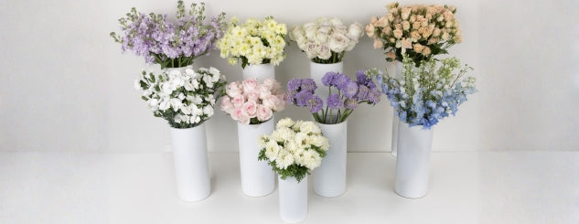 Powdered Pastels DIY Flower Kit