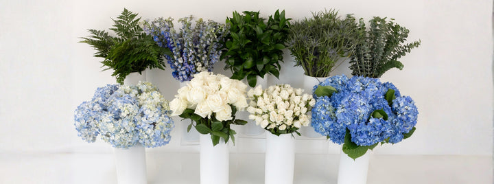 Hydrangea Hues DIY Flower Kit
