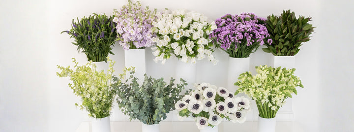 Lavender Dreams DIY Flower Kit