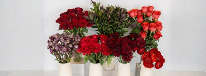 Love Letters In Red DIY Flower Kit