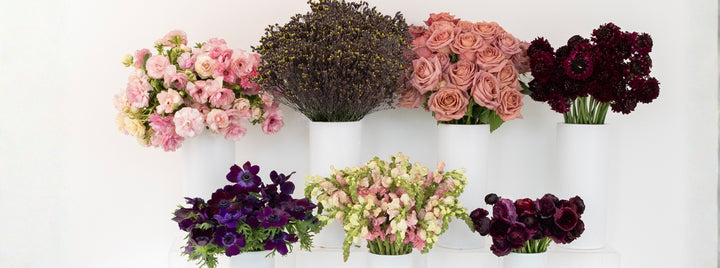 Moody Mauve DIY Flower Kit