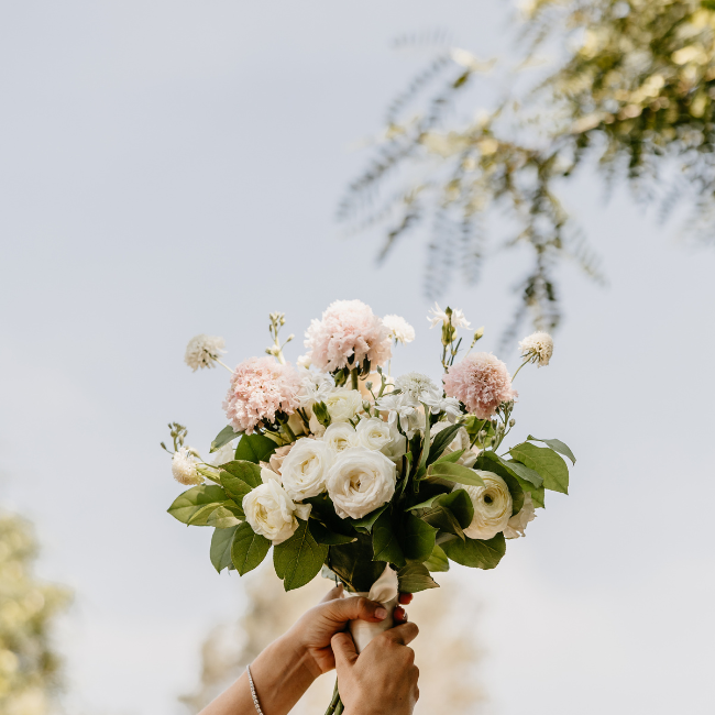 Alpine Oat at Botanical Gardens Styled Shoot