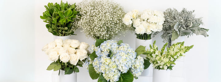 Coastal Vibes DIY Flower Kit