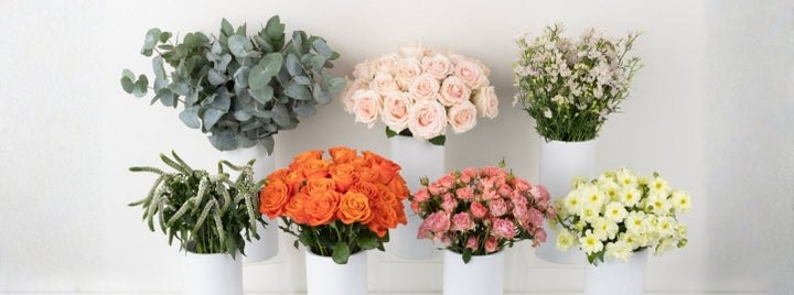 Coral Glow DIY Flower Kit