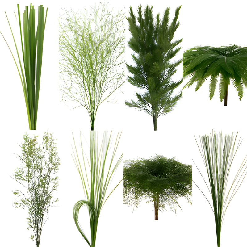 Wedding greenery Australian greens combo box sold near me as bulk