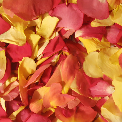 Sorbet Dried Rose Petals