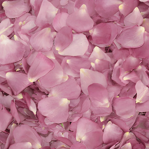 Lavender Dried Rose Petals