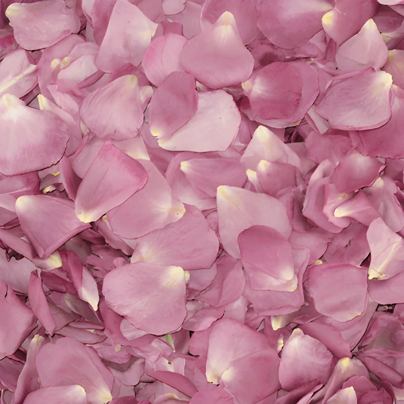 Lavender Dried Rose Petals