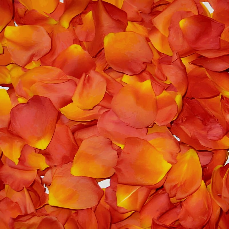 Dried Rose Petals