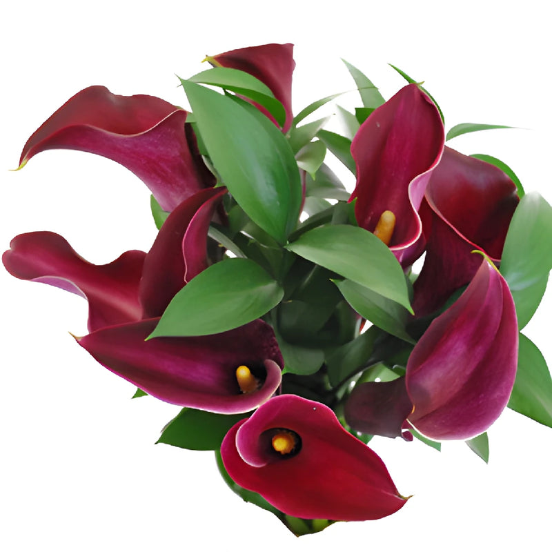 Burgundy Mini Calla Lily Flower Centerpieces