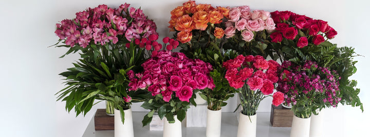 Hot Popping Pink DIY Flower Kit