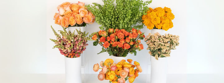 Citrus Punch DIY Flower Kit