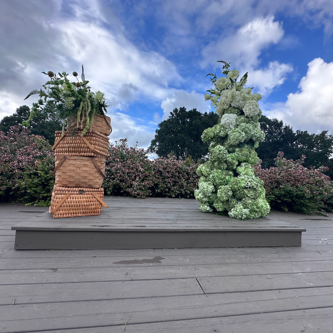 “I Love You a Great Dill” Shoot at Cenita Vineyards