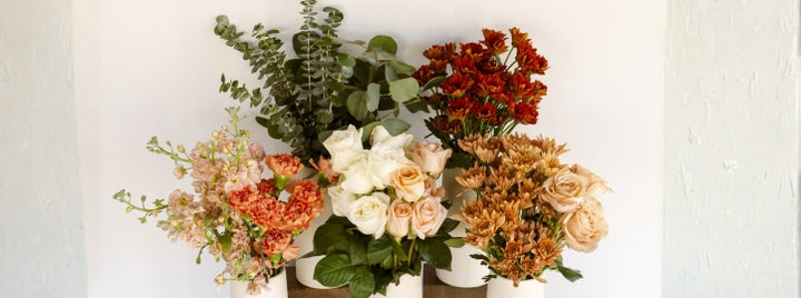 Sunrise Carnations DIY Flower Kit